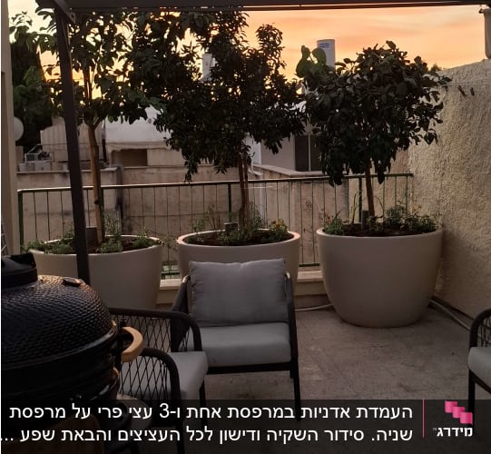 עציצים עם צמחים על מרפסת בשקיעה